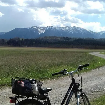 Alpenblick Hornle アパート